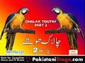 Punjabi Stage Show - Chalak Totey Part 2 09  of 15