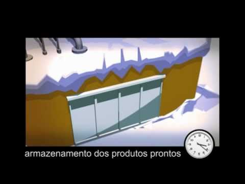 Processamento dos vegetais congelados