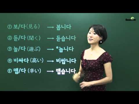 5. ~ます・~です/~を ~ㅂ니다・습니다/~(을)를
