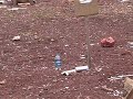 Pepsi bottle dodges bullets