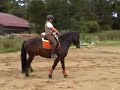 Gwydion Llacheu Reitstunde Teil1