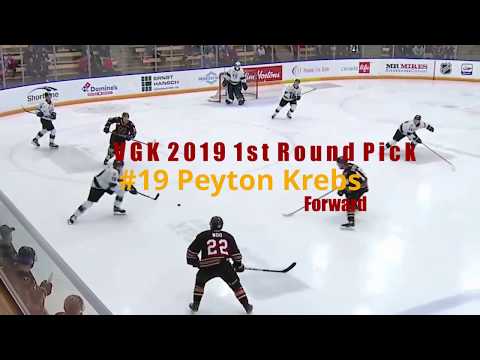 VGK's Peyton Krebs 2019-20 Season Highlights