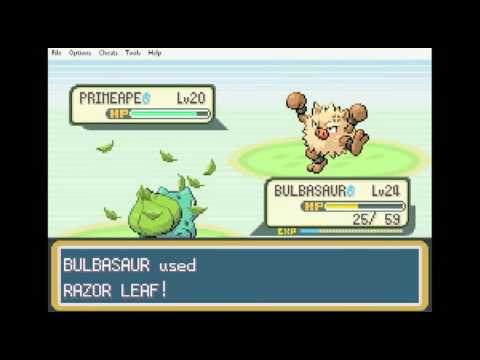 Primeape