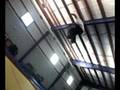 Pmin Tramp Edit 2
