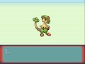 Pokemon Emerald 5 evolving Pokemon Emerald 5 evolving