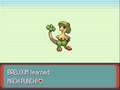 Pokemon Emerald 5 evolving