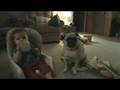 videos de Hoping for Leftovers