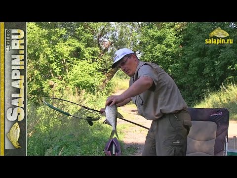 секретные точки москвы-реки видео о рыбалке константина шорина секретные точки москвы-реки видео о рыбалке константина шорина