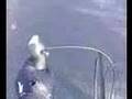 bike accident prevention, bike crash lawyers