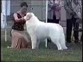 GPCC Specialty 2006 Best of Breed 1 of 3