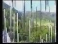 Ayhan-Alptekin-Mefta