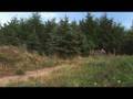 Vogler-DVD: Downhill für Mountainbiker