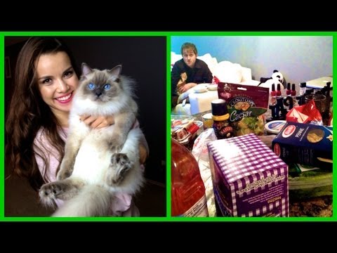 Grocery Shopping + Nugget Reunion! ❄ Vlogmas 6, 2012