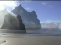 harbor-seal-pup-birth-caught-on-tape.html