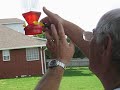 Hummingbird Caught