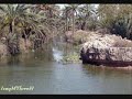 حسين السعدي ~ يا بلبل غني لجيرانك