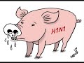 Do you want to know all about swine flu ?