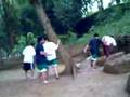 biek challenge..ü