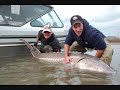 GIANT STURGEON -dino fishing GIANT STURGEON -dino fishing