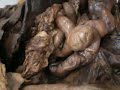 anatomia ceu cavidad toracica