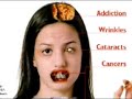 Nicotina assassina-companha contra o cigarro e tabagismo Nicotina assassina-companha contra o cigarro e tabagismo