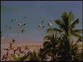 hawaiian-tropic-cruise-line.html