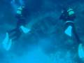 congrios y morenas zoea 3