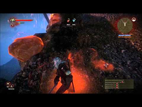 The Witcher 2 : Assassins of Kings