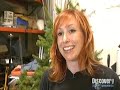 Mythbusters Needle Drop Chrismas Tree Mythbusters Needle Drop Chrismas Tree