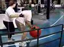 spinsane dribblers