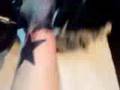 30 Seconds To Mars' Provehito In Altum Tattoo