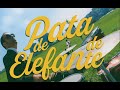 PATA DE ELEFANTE - VERSÃO FINAL
