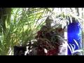 I uploaded a YouTube video -- Sunday Afternoon Quotes & Sound Healing - The Spirit Within Knows Only A... http://bit.ly/8aRO3r