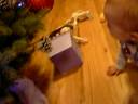 nathans first christmas nathans first christmas