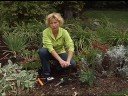 Choose the Correct Bulb Planter or Auger for Your Garden Choose the Correct Bulb Planter or Auger for Your Garden