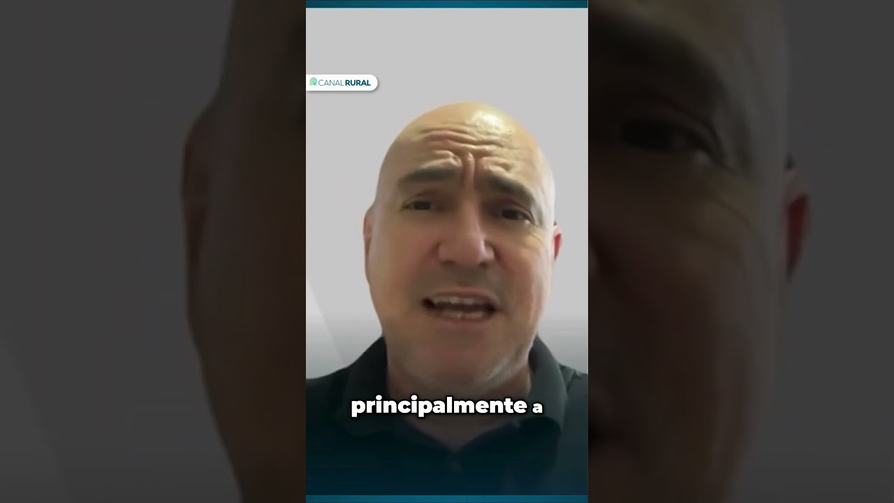 Café conilon | Cecafé aponta aumento de 49% nas exportações brasileiras