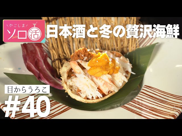 香箱ガニ＆自家製カラスミ＆日本酒「目からうろこ」かごしまソロ活 ＃40