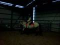 videos de Zaney 2