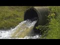 Biofilms-say NO to slime by  Environmental Biotechnology CRC