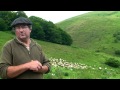Un Berger basque "sans terre" - Pyrénées Atlantiqu Voir la vidéo