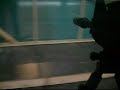 CQBcity 12/27 \"DOMINATION GUNCAM FOOTAGE\" part 2 CQBcity 12/27 \"DOMINATION GUNCAM FOOTAGE\" part 2