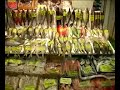 the raucous cries of the fish vendors gave rise to 