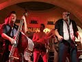 the-wild-boppin-baboons-fever-.html