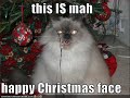 Merry XMas!!