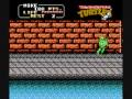 the single greatest gaming video at www.youtube.com three things to note: 1.) final time: 36:32.27 (from turtle select to final hit on shredder.) 2.) michelangelo is the best ninja turtle. 3.) pizza hut pan pizza is the best chain pizza. www.originalnintendo.net