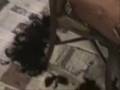shaved heads are COOL(Razorsmooth)Part 2