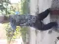 rap abdelhalim