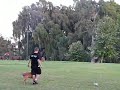 DVASH from DVASH.TK  demonstartion in DOG.CO.IL