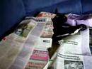 Borus en de krant