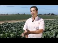 What Misconceptions Do Consumers Have About Farmers?